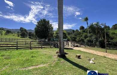 Imagem 8: Fazenda à Venda em Sanclerlândia - GO 39 Alqueires 100 Cultura