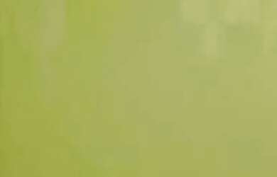 Imagem 8: ALUGO CASA RUA PORTUGAL NO BAIRRO JARDIM LEAL CAXIAS