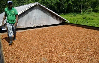 Imagem: A fazenda e está localizado em Itajuípe, BA à venda por R$140.000