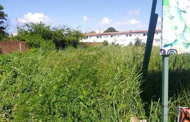 Imagem 2: Terrenos de pista para vender em Pau Amarelo - Paulista - PE