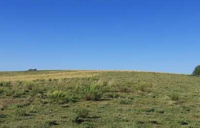 Imagem 6: Rosário do Sul - Fazenda - Zona Rural