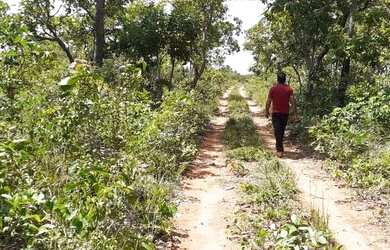 Imagem 11: Fazenda em Novo Acordo. 25 mil por alqueire