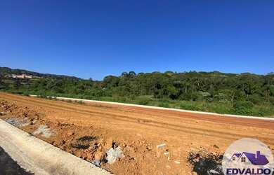 Imagem 14: Lote/Terreno para venda tem 250 metros quadrados em Brotas Caucaia do...