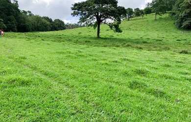 Imagem: O terreno possui 600-0m² de Área e está localizado em Centro