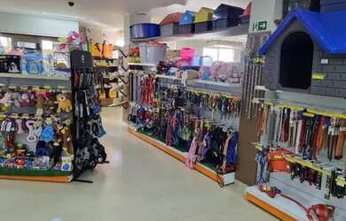 Imagem 10: Vendo loja de petshop. 300m² de Áreae2 Vagas na garagem