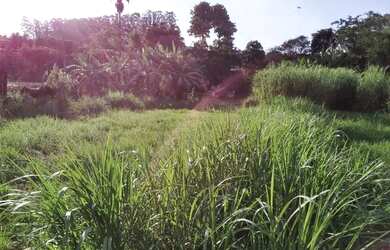 Imagem: O terreno possui 463m² de Área e está localizado em Núcleo