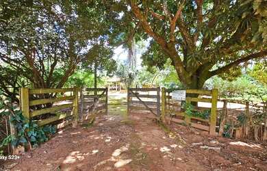 Imagem: A fazenda possui 20851m² de Área e está localizado em Bela