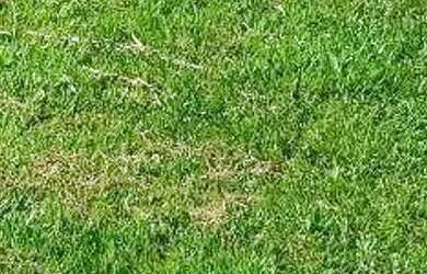 Imagem 2: Chácara à venda em Boa Vista da Aparecida