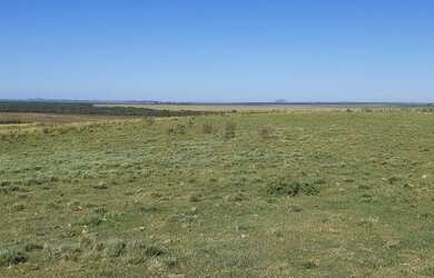 Imagem 16: Rosário do Sul - Fazenda - Zona Rural