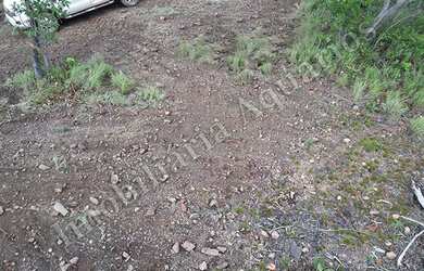 Imagem 13: Fazenda para venda possui 13560000 metros quadrados