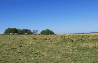 Imagem 7: Rosário do Sul - Fazenda - Zona Rural