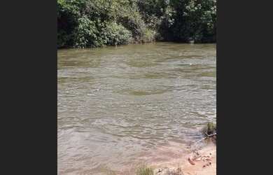 Imagem 13: Fazenda em Novo Acordo. 25 mil por alqueire
