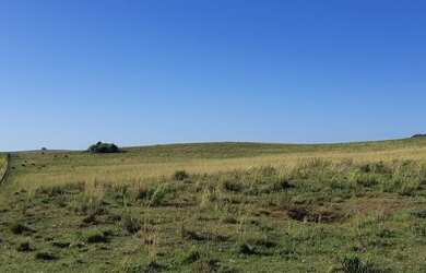 Imagem 4: Rosário do Sul - Fazenda - Zona Rural