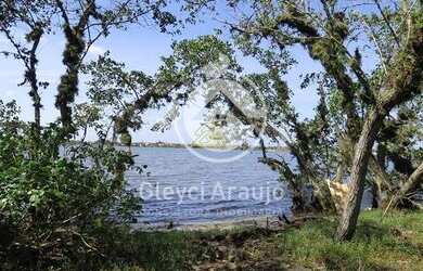 Imagem 15: Lote/Terreno para venda possui 71000 metros quadrados em Jardim - Saquarema...