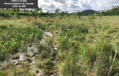 Imagem 7: Fazenda à Venda no Litoral Norte da Bahia. Fazenda de Pasto e Coco no...