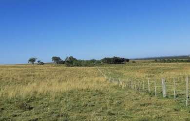 Imagem 9: Rosário do Sul - Fazenda - Zona Rural