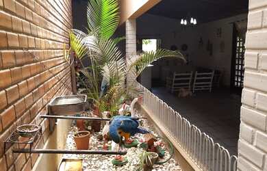 Imagem 5: Leonardo Corretor Vende Chácara Perto do Beto Carreiro Gravatá 08 Quartos...