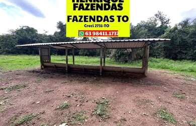 Imagem 2: Fazenda no Luzimangues poucos minutos de Palmas 51 alqueires