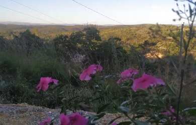 Imagem 2: LOTE 300 M² OU 500 M². 300m² de Área