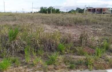 Imagem 6: Vendo Terreno 100% Plano, Alto na Fazenda Real Residence, 4° Etapa (SM