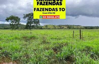 Imagem 14: Fazenda no Luzimangues poucos minutos de Palmas 51 alqueires