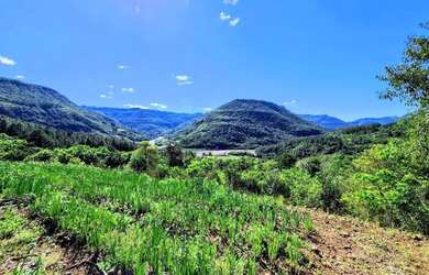 Imagem: A fazenda possui 39.446m² de Área e está localizado em Nova