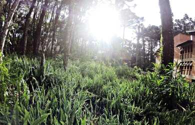 Imagem 6: Terreno - Bairro Planalto