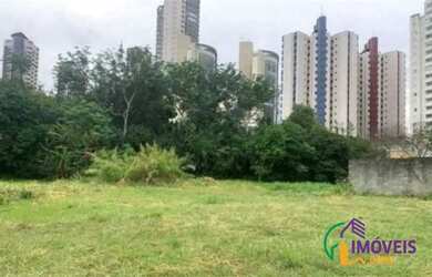 Imagem 3: AREA - ANÁLIA FRANCO - SP