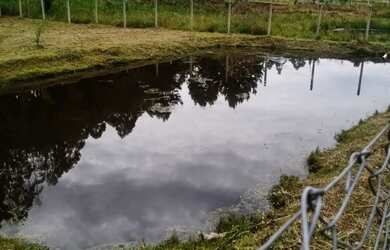 Imagem: A chácara possui 2.576m² de Área e está localizado em Área