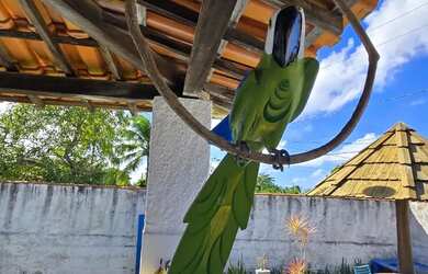 Imagem: A casa em condomínio possui 2 Dormitórios, 2 Banheiros, 2