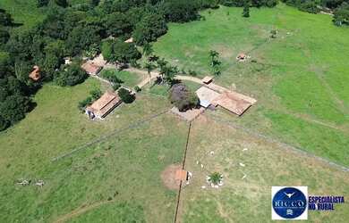 Imagem 2: Fazenda à Venda em Sanclerlândia - GO 39 Alqueires 100 Cultura