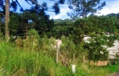 Imagem 4: CAXIAS DO SUL - Terreno Padrão - SÃO LUIZ DA 6ª LÉGUA