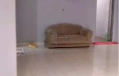 Imagem: A casa possui 3 Dormitórios, 2 Banheiros, 2 Vagas na garagem