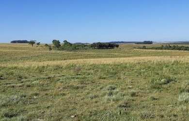 Imagem 12: Rosário do Sul - Fazenda - Zona Rural