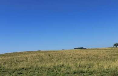 Imagem 8: Rosário do Sul - Fazenda - Zona Rural