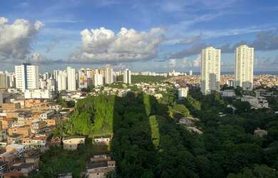 Imagem 10: Apartamento para venda com 195 metros quadrados com 4 quartos em Horto Florestal - Salvado