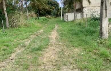 Imagem 3: Vendo terreno. 400m² de Área