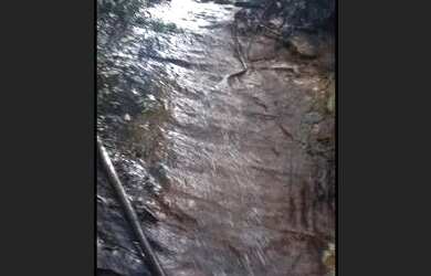 Imagem: A chácara possui 5.620m² de Área, Piscina e está localizado