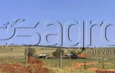 Imagem 8: Fazenda à Venda,613 alqueires Por R$ 92 MILHÕES - Tacuru/ms