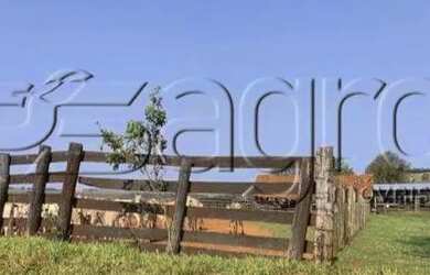 Imagem 7: Fazenda à Venda,613 alqueires Por R$ 92 MILHÕES - Tacuru/ms