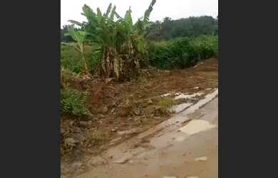 Imagem 1: Vendo tereno na ilha fasso negocio em coisa do meu interesse