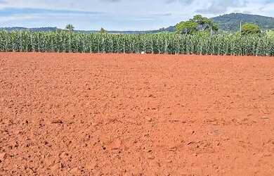 Imagem: A chácara possui 2.013m² de Área e está localizado em Goianira