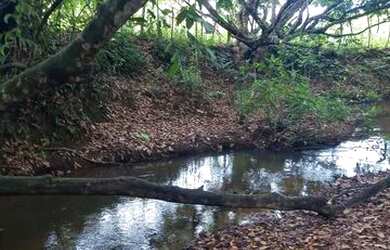 Imagem: A chácara e está localizado em MG à venda por R$120.000