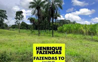 Imagem 1: Fazenda no Luzimangues poucos minutos de Palmas 51 alqueires