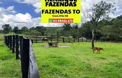 Imagem 16: Fazenda no Luzimangues poucos minutos de Palmas 51 alqueires