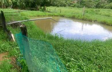 Imagem 10: Vende se uma propriedade. 774.400m² de Área