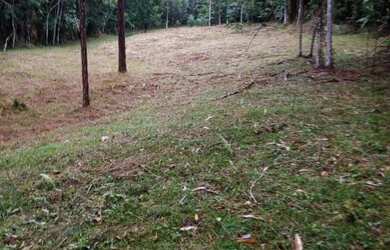 Imagem 13: Super natureza preservada 400 mil reais