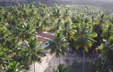 Imagem: A fazenda possui 276.000.000m² de Área e está localizado