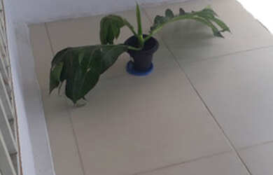 Imagem: A casa possui 2 Dormitórios, 1 Banheiro, 615m² de Área e