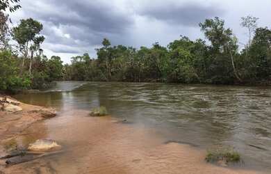 Imagem 6: Fazenda em Novo Acordo. 25 mil por alqueire